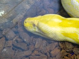 Haus des Meeres 13.03.2026